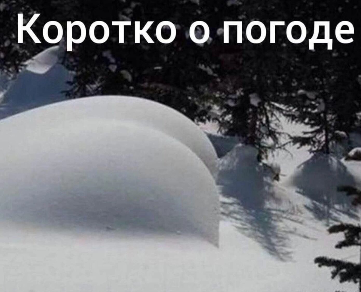 Ко отко опого е Р 7 д