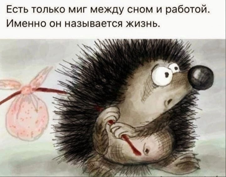 Есть только миг между сном и работой Именно он называется жизнь