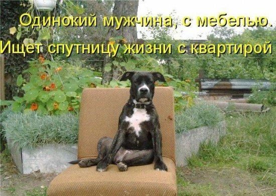 Ина с мебелью
