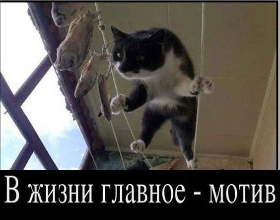 В жизни главное мотив