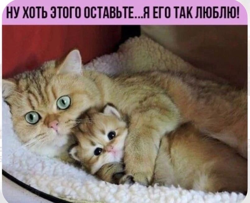НУ ХОТЬ ЗТПГП ОСТАВЬТЕЩ ЕП ТАК ЛЮБЛЮ