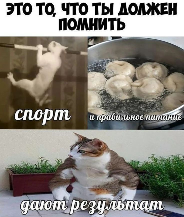 ЭТО ТО ЧТО ТЫ АОАЖЕН