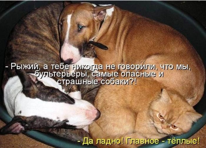 2 і _ Да пгд а та ч е ТЁПЛЫЕ