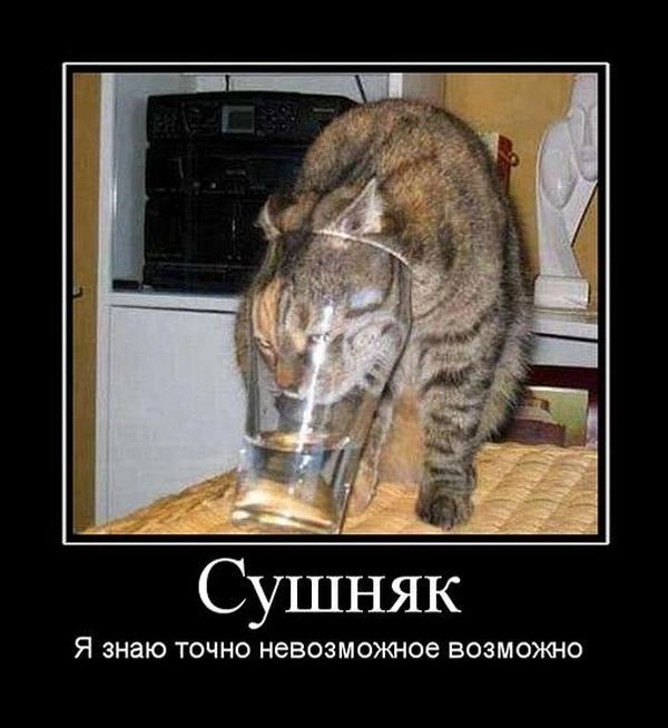 Я знаю точно невозможное возможно