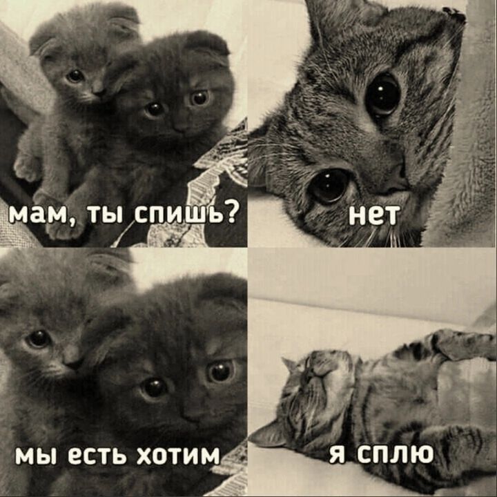 МЫ ЕСТЬ ХОТИМ