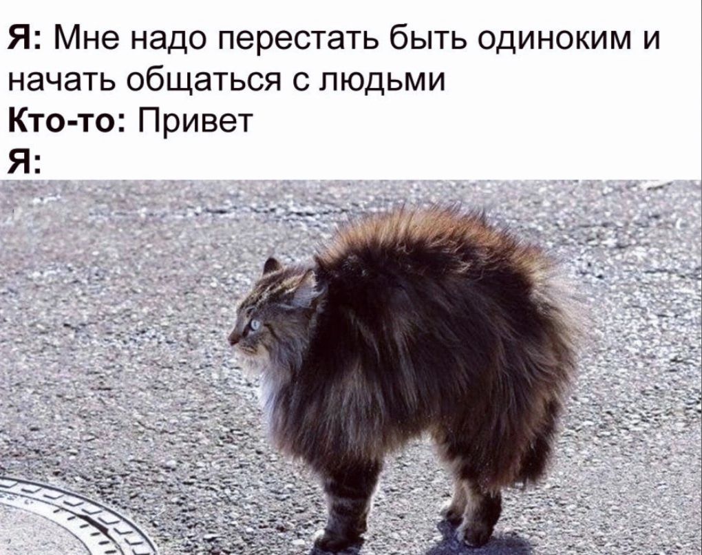 Я Мне надо перестать быть одиноким и начать общаться с людьми Кто то Привет
