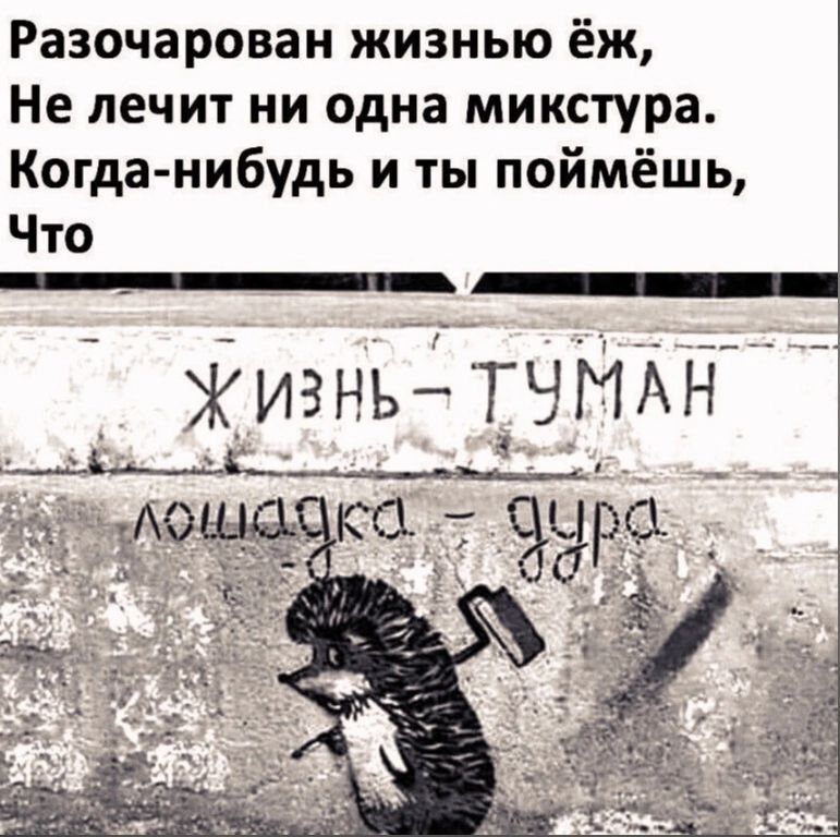 Разочарован жизнью ёж Не лечит ни одна микстура Когда нибудь и ты поймёшь Что _ Жизнь ТЧМАН мы 9 _