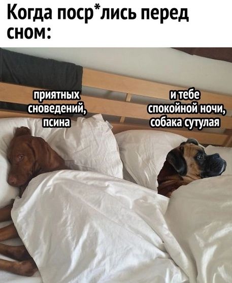 Когда посрлись перед сном