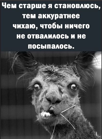 Чем старше я становлюсь тен аккуратнее чихаю чтобы ничего не отвалилось и не посыпалось Д
