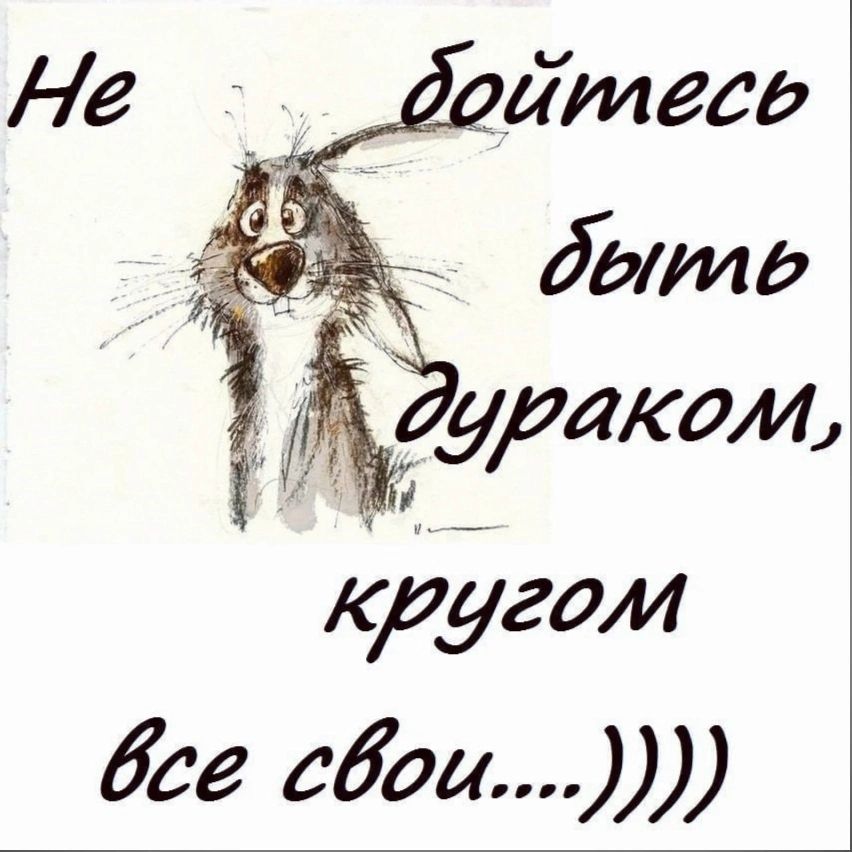 д урасохи кругом бег сбоа