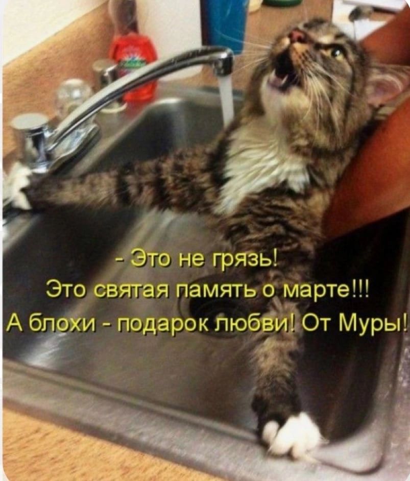 Это не грязь Этц святая память о марте А бпоЁи подарок любви От Муры