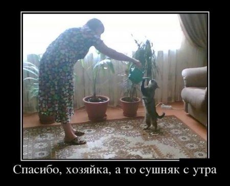 пасибо хозяик то сушняк с утра