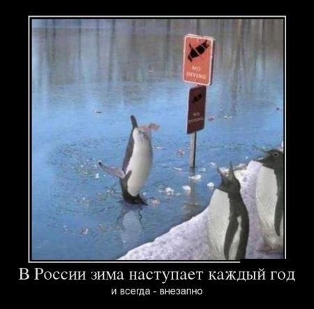 В России зима наступает каждый год и внешн внезапнп