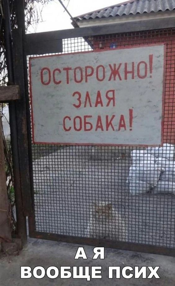 НдьчмА воовщв іісиід