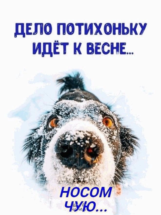 ДЕЛО ПОТИХОНЬКУ ИДЕТ К ВЕСНЕ