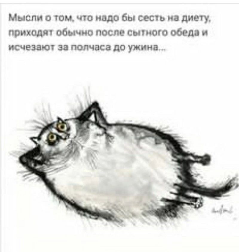 Мыспи о юм чю ишо бы сеть из диету приходя обычно после сшиош обед исчезаюп за полчаса до ужина