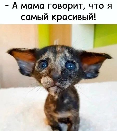 А мама говорит что я самый красивый