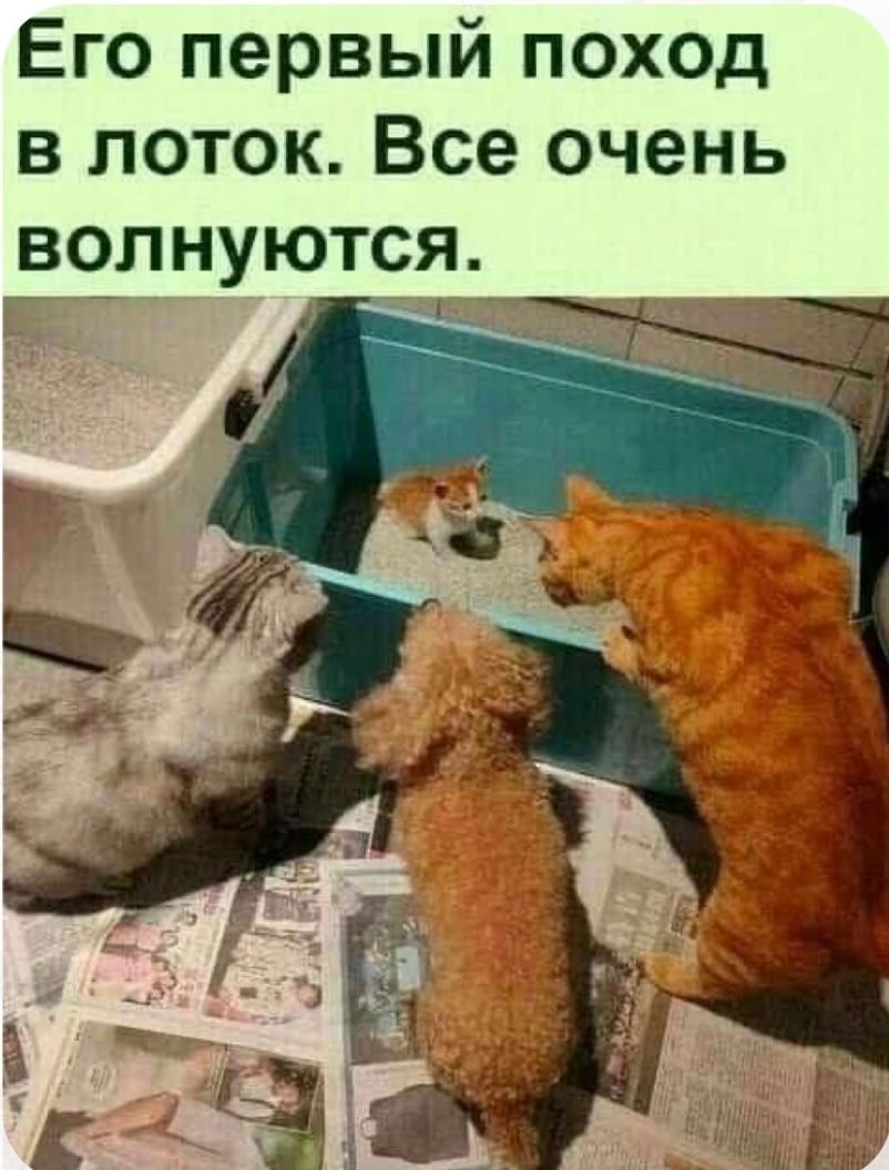 Его первый поход в поток Все очень волнуются А