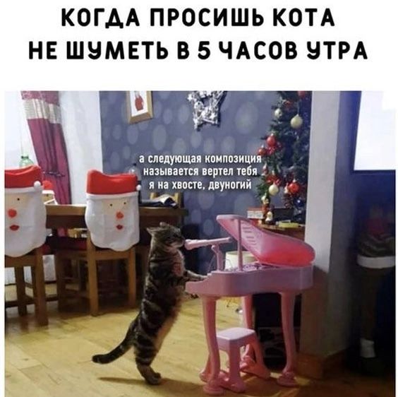 КОГАА ПРОСИШЬ КОТА НЕ ШНМЕТЬ В 5 ЧАСОВ НТРА Ыі и мщюшл иоипиимд амиши пипл м яиіппш птпгий