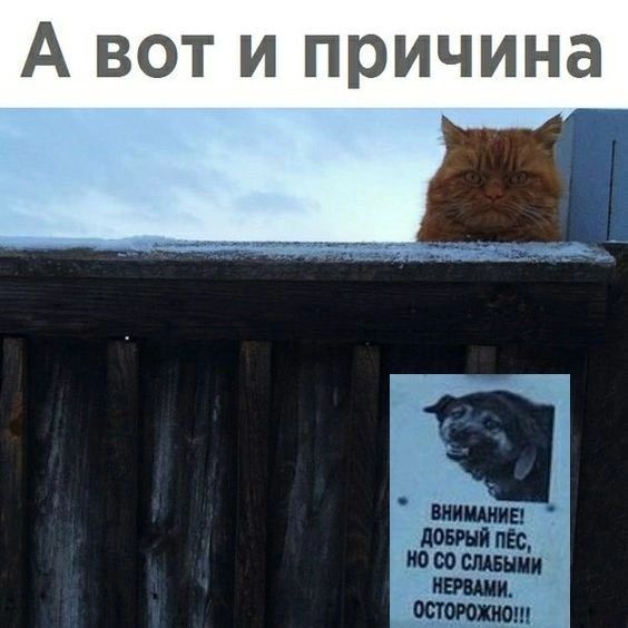 А вот и причина