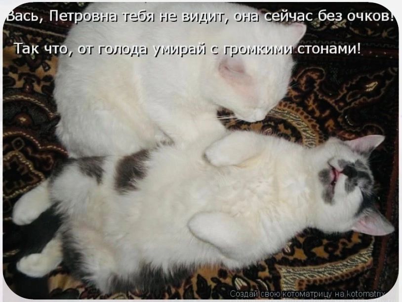 мы и ейчас безрчкон мгцкады и гр