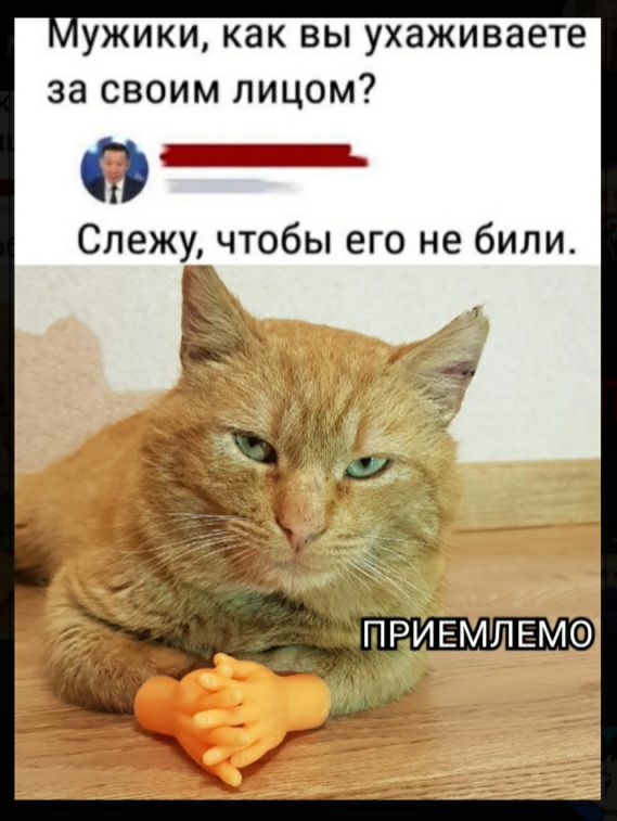 ужики как вы ухаживаете за своим лицом 0 _ Слежу чтобы его не били Рид