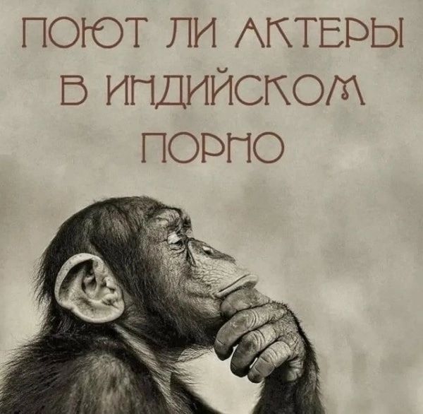 поют ли Актвры в индийском порно