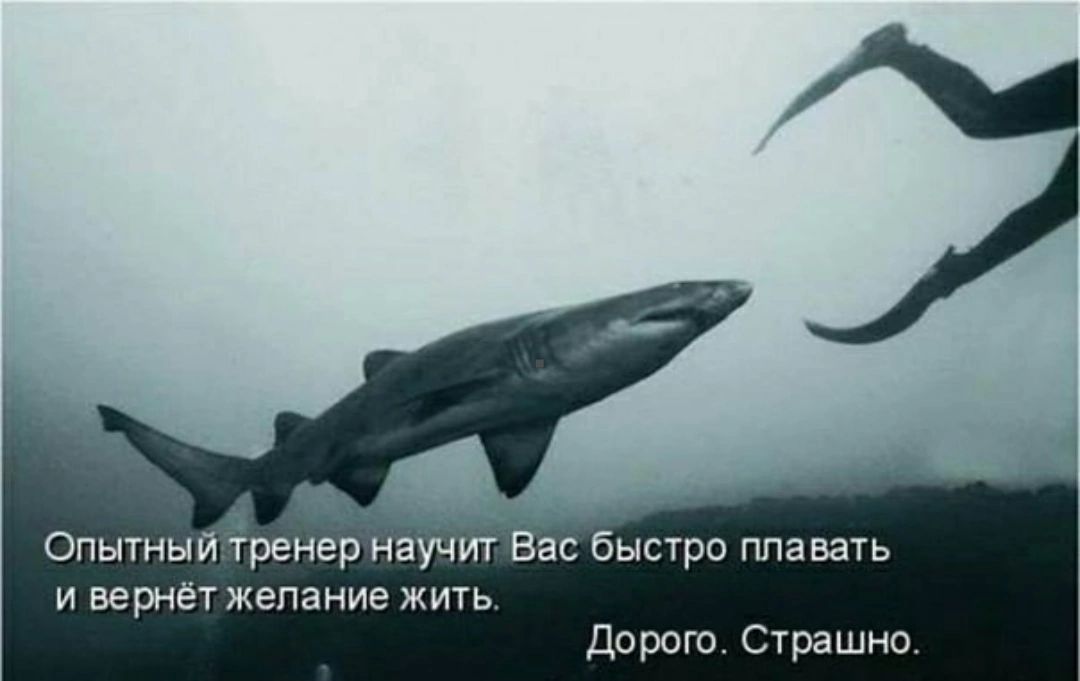 _ Опытный іренер научит Вас быстра плавать и вернет жепаиие жить дорого ста