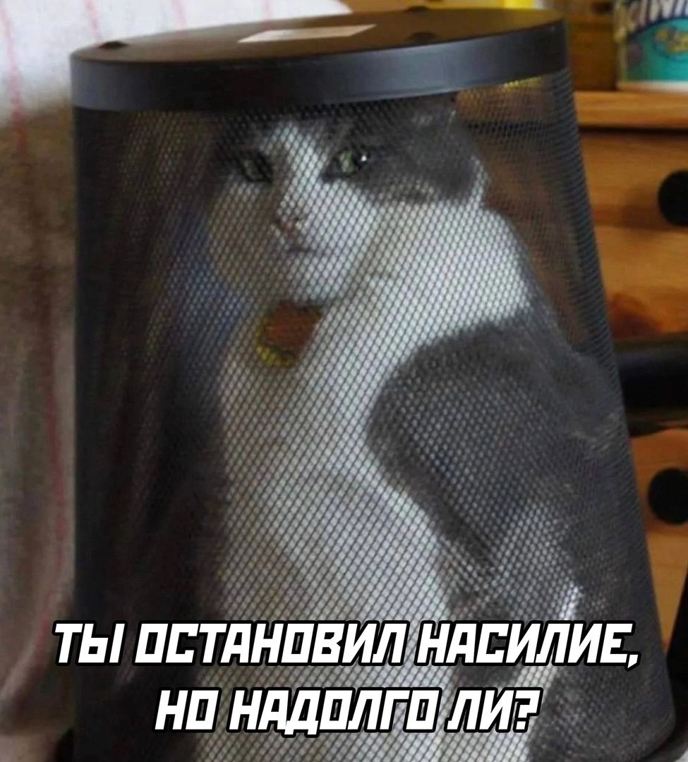ты пптд пвил нлсщлид ли
