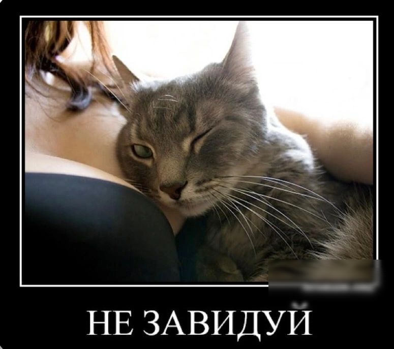 НЕ ЗАВИДУИ