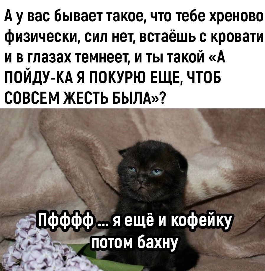 А у вас бывает такое что тебе хреново физически сил нет встаёшь с кровати и в глазах темнеет и ты такой А ПОЙДУ КА Я ПОКУРЮ ЕЩЕ ЧТОБ СОВСЕМ ЖЕСТЬ БЫЛА л 3 Пфффф я ещё и кофейку отом бахну