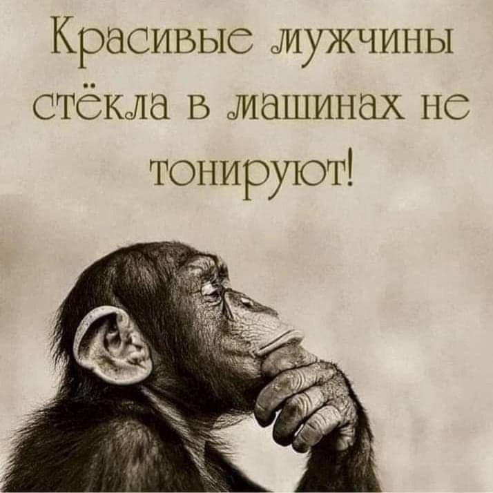 Красивые мужчины стёкла в машинах не тонируют