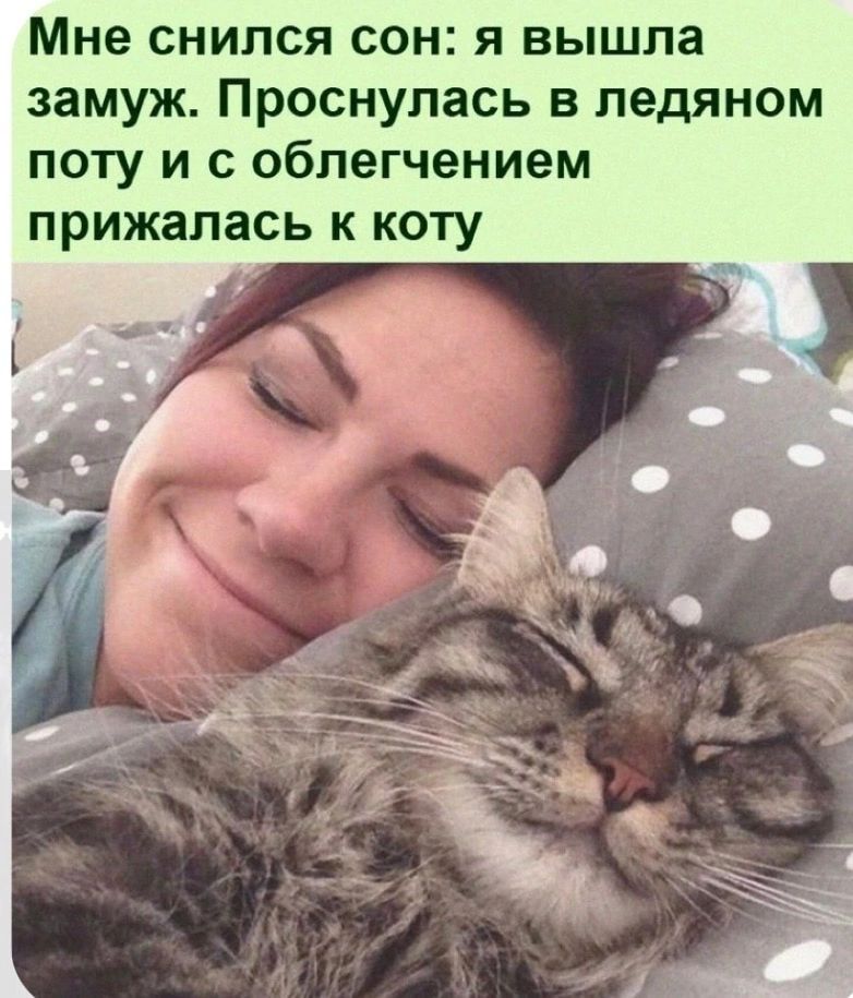 Мне снился сон я вышла замуж Проснулась в ледяном поту и с облегчением прижалась к коту