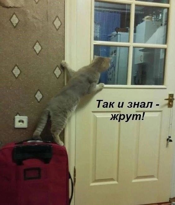 Так и знал 7 жрут