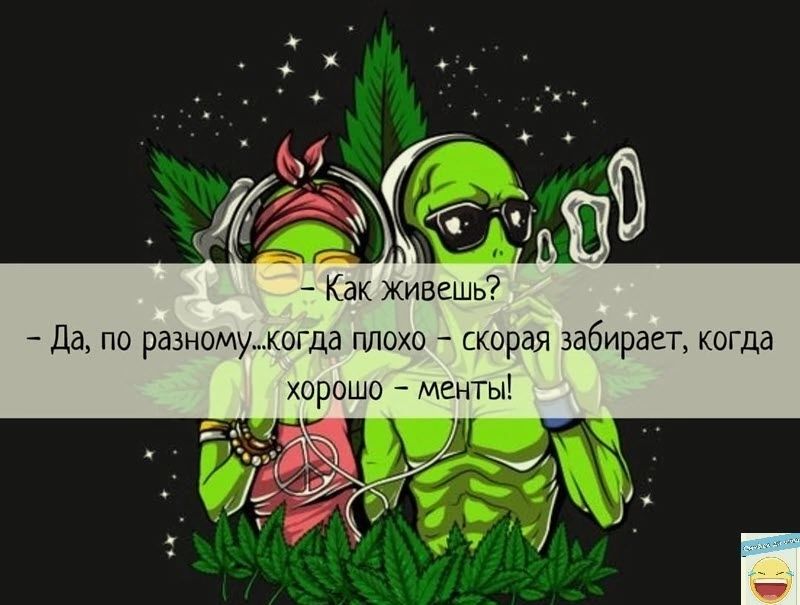 Как живешь да по разномужогда плохо скорая забирает когда хорошо ментыі