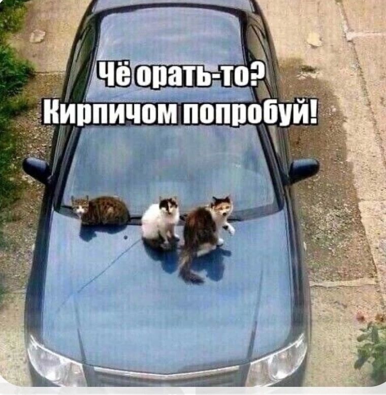 7 Н опать тоё