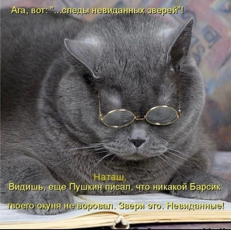Наташ еще Пушкин писал что никакой Барс