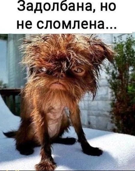 адол сана НО не СЛОМЛёНЭ