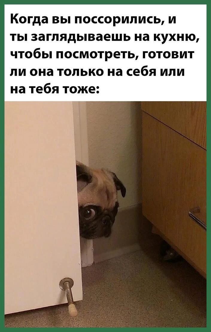 Когда вы поссорились и ты заглядываешь на кухню чтобы посмотреть готовит ли она только на себя или на тебя тоже