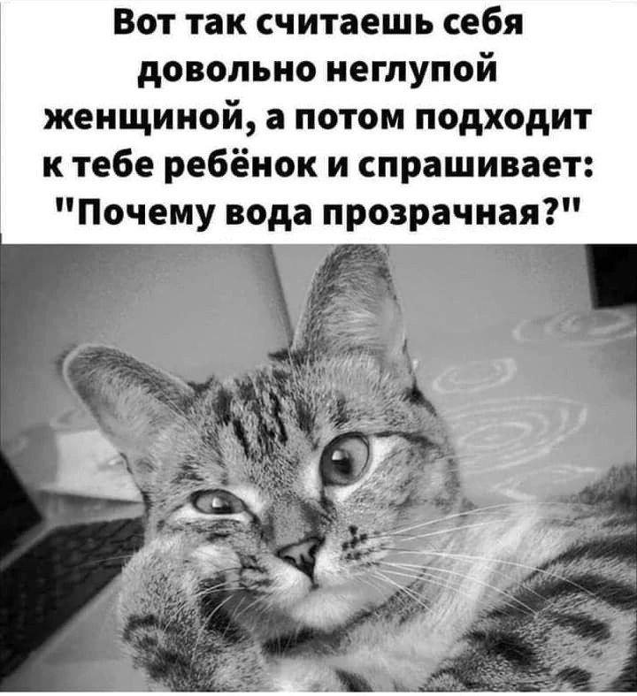 Вот так считаешь себя довольно неглупой женщиной потом подходит к тебе ребёнок и спрашивает Почему вода прозрачная