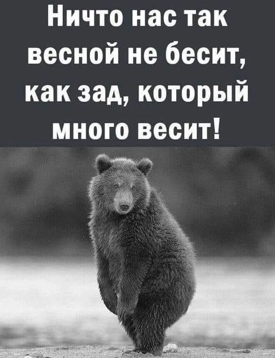Ничто нас так весной не бесит как зад который много весит Чт ъ