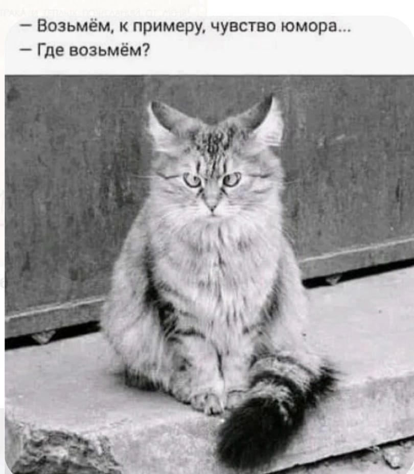 возьмем к примеру чувство юмора Где возьмём