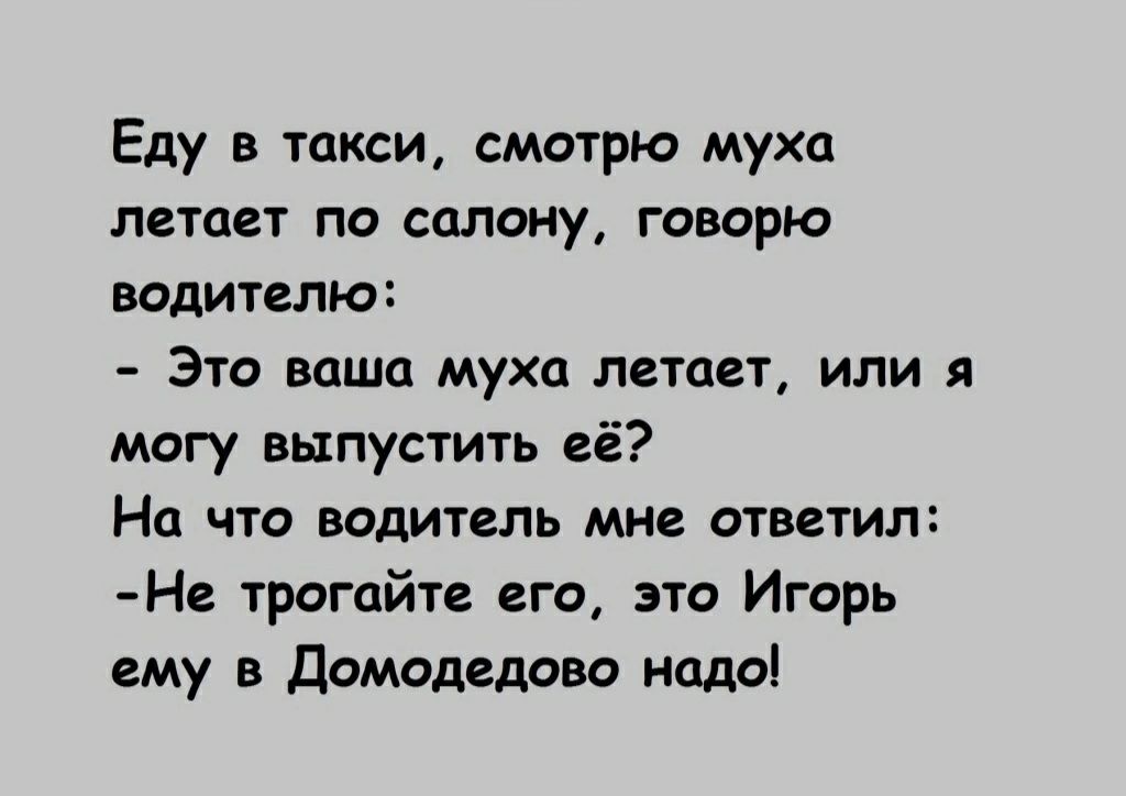 Еду в такси смотрю муха летает по салону говорю водителю Это ваша муха летает или я могу выпустить её На что водитель мне ответил Не трогайте его это Игорь ему в Домодедово надо