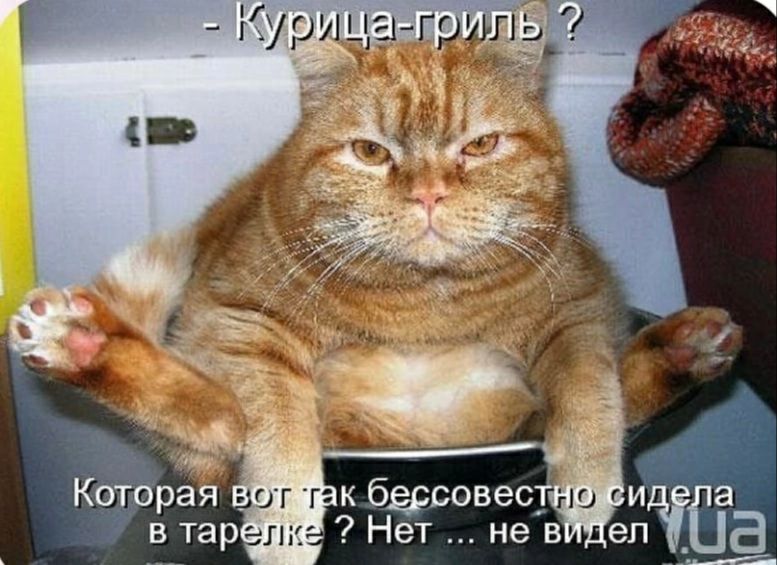Ё Курицагриль