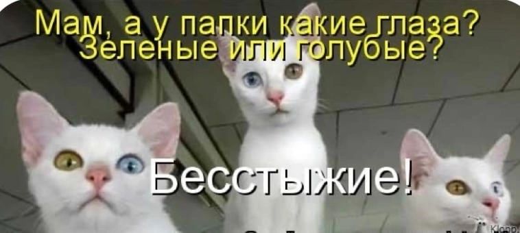 8 Мам а у падки ккие глаза Зеленыей лубые