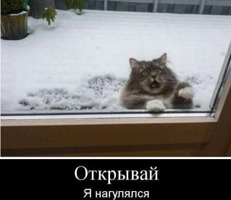 Открывай Я нагупяпся