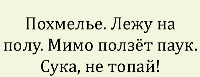 Похмелье Лежу на полу Мимо ползёт паук Сука не топай