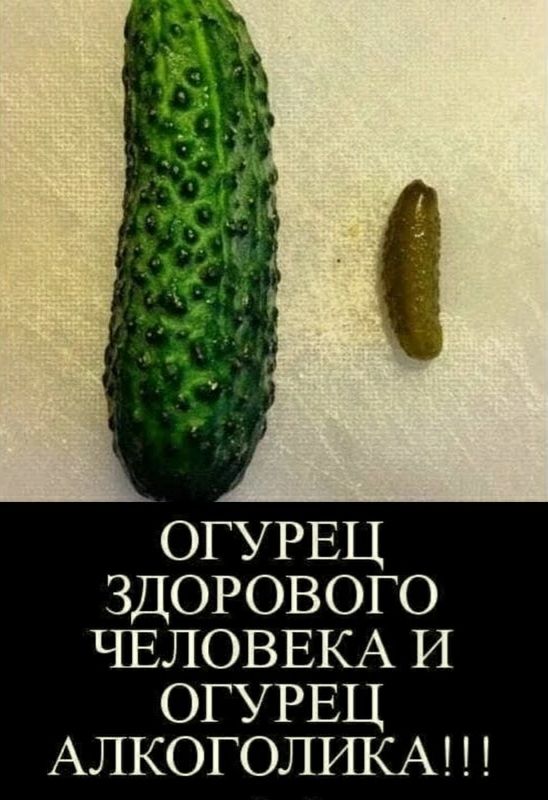 ОГУРЕЦ ЗДОРОВОГО ЧЕЛОВЕКА и ОГУРЕЦ АЛКОГОЛИКА