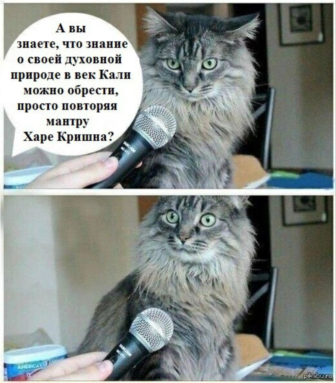 ша что знание о своей джипов прпрпде в век Кили можно парти прост ппвторяп мантр Харе Кришна
