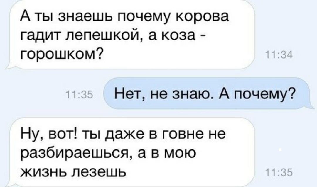 А ТЫ знаешь ПОЧЕМУ КОРОБЗ гадит лепешкой а коза горошком Нет не знаю А почему Ну вот ты даже в говне не разбираешься а в мою ЖИЗНЬ лезешь